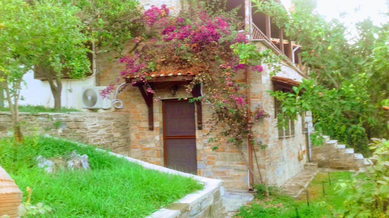 Margis Studio Xinovrisi 외부 사진